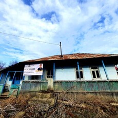 Imobil compus din casa de locuit si teren, Danesti, constructie 1969