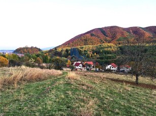 Parcele teren cu PUZ / toate utilitatile / Cisnadioara Sibiu