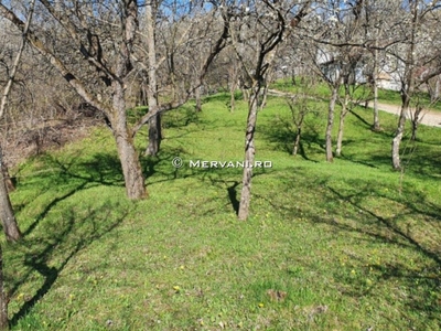 Teren de vanzare in Breaza (zona Nistoresti)