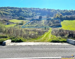 3.000 mp intravilan, parametri urbanistici favorabili, Ivanesti Targu Mures.