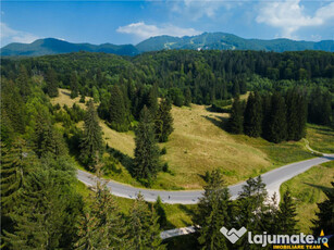 Film!!Punct de inatlnire cu natura! Poiana Brasov - Rasnov,3