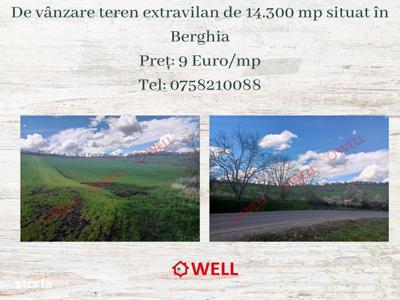 De vânzare un teren extravilan de 14.300 mp situat în Berghia