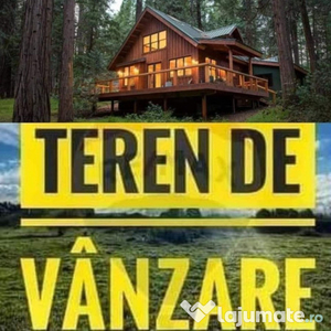 De vanzare teren in Bicaz pentru cabana , 11.900 euro