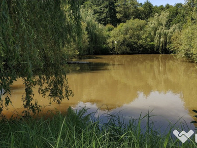 Lac de pește, bazin pastravi, teren 5000mp, parau de munte - Gurghiu