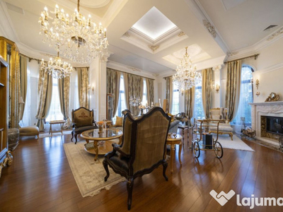 Mansion superb langa București | O oaza de eleganta și ...