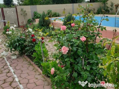 Vila+piscina+anexe(Gospodarie, in Gaiseanca) la 37km de B...