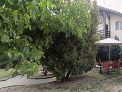 Casa cu curte si gradina la intrare in Sanpetru