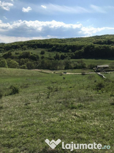 Teren intravilan in zona Roata Faget