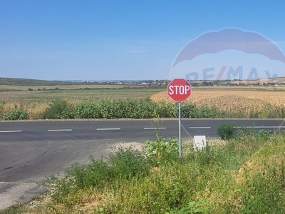 Teren Agricol, Extravilan vanzare, in Arad, Maderat