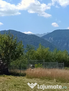 Teren intravilan la munte 500mp Tohanita Brasov