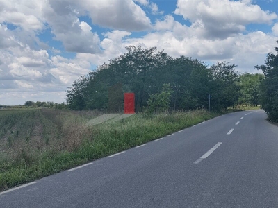 Teren Ogrezeni judetul Giurgiu vanzare teren Va propunem spre