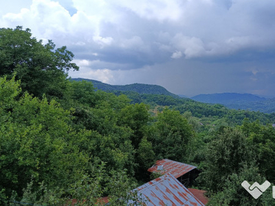 Casă şi livadă, în localitatea Păuşeşti-Măglaşi, sat Coasta