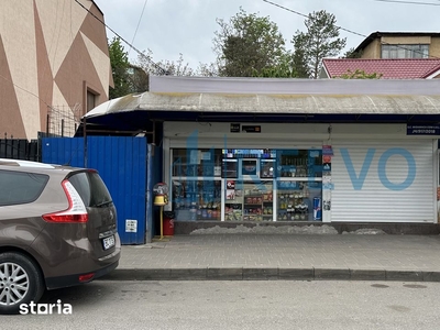 Vila Premium zona Grădina Publică