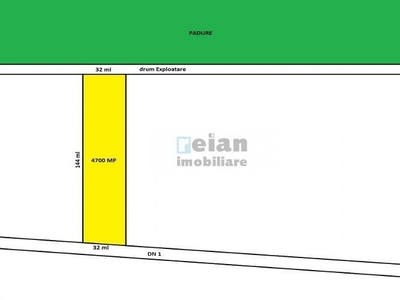 Tancabesti Stradal Dn1 Intravilan 4700mp, Dubla Deschidere 32/32 Ml