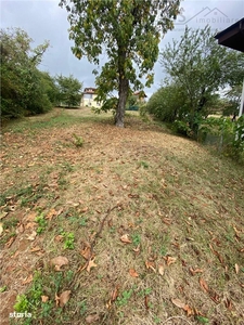 Vila finalizata Berceni, mutare imediata