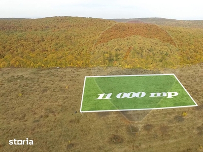 Garsoniera imobil nou Colentina, Doamna Ghica