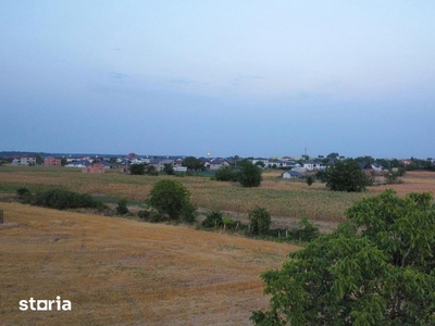 Teren intravilan zona case Ilfov - 1 Decembrie (20 min de Bucuresti)