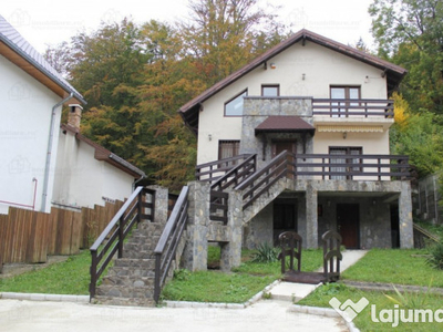 Vila superba , cu arhitectura deosebita , in Sinaia