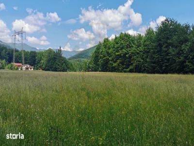 Teren intravilan de 5000, plat, orizontal la poalele muntelui, pe malu