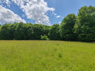 2,2 HA TEREN EXTRAVILAN FANEATA, in Muntii Apuseni, Negreni, jud. Cluj, la 5 km de E60, Cluj-Napoca Oradea, Transilvania, Romania