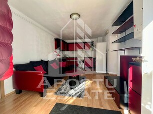 Apartament 2 camere,centrala proprie,Pet friendly,zona Iosefin