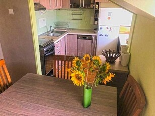 Apartament cu 3 camere in vila in zona Andrei Muresanu