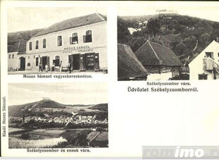 Casa Istorica - Vanzare, 9 Camere, Teren Generos, Restaurare in Sat Transilvania