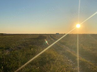 DB lfoveni, teren intravilan 600 mp, curent si gaze la poarta, 11 mii euro neg