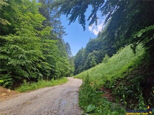 Refugiu la munte:teren pentru turism/casa de vacanta,acces apa curgatoare, Moieciu,Bran,Brasov