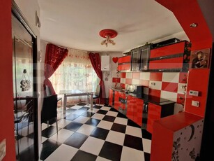 Studio, 35 mp, dog friendly zona Dambu Rotund