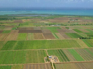 Teren agricol în Daneti 1.31 ha