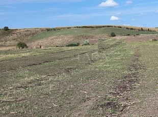 Teren de vanzare in Baciu.