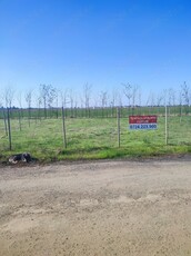 Teren de vinzare in comuna berceni mega park 1