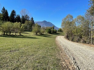 Teren intravilan zona Bran-Tohanita, judetul Brasov intre 500 si 1000 mp la 5 km de Moieciu