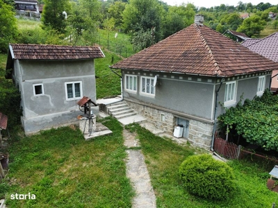 Casa cu curte in satul Blajeni