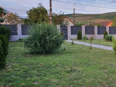 Casa în localitatea Puliș, jud. Arad