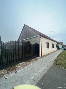 Casa traditionala Brestea (Denta), 3 camere - 100 mp utili + Anexa 3 camere + foisor + 2700 mp teren