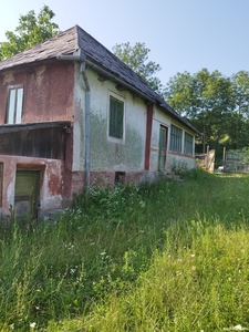 De vanzare casa familiara curte gradina