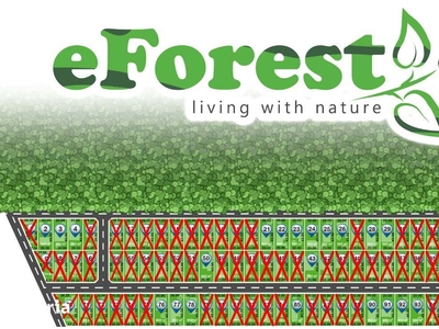 eForest, terenuri la liziera padurii, direct din DN1A