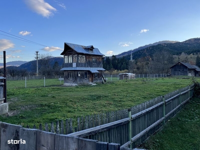 Teren intravilan Domnesti str Fortului