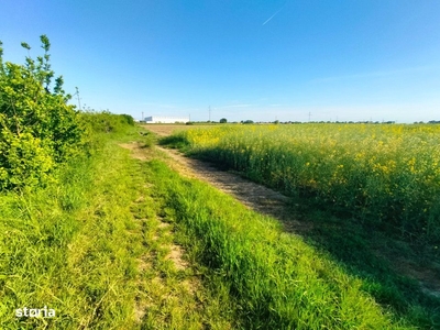 Teren extravilan de 2.16 hectare pe Aurel Vlaicu