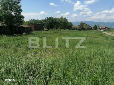Vanzare teren extravilan situat in Targu Jiu, strada Ciocarlau