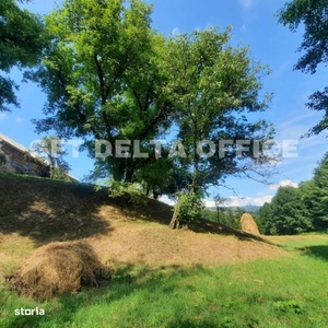 Teren intravila/extravilan, Rebrisoara