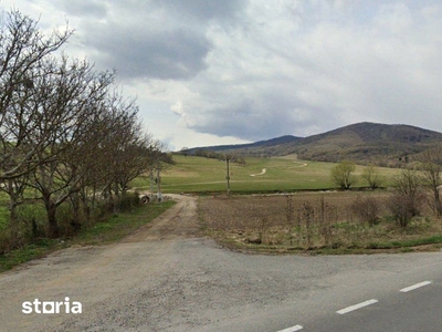 Teren pentru ferma agricola sau parc fotovoltaic langa DN 13