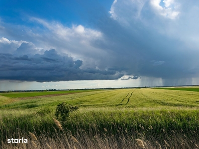 Vand teren agricol 15 ha Silistea Braila