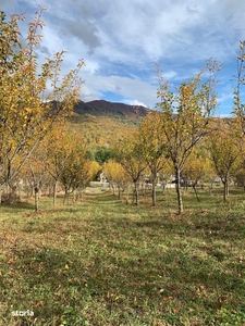 Vand teren comuna Corbi judetul arges