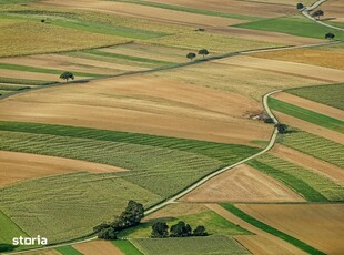 Achizitionam Teren Extravilan Agricol Arad Judet Arad