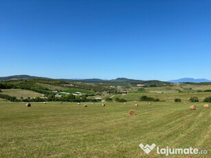 Teren, strada valea stanelor, bistrita, 700mp