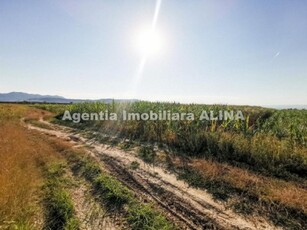 3 parcele de Teren extravilan arabil in Satul Harau, Comuna Harau din Jud. Hunedoara.