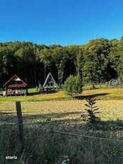 Teren la munte intravilan, 30 km de Brasov